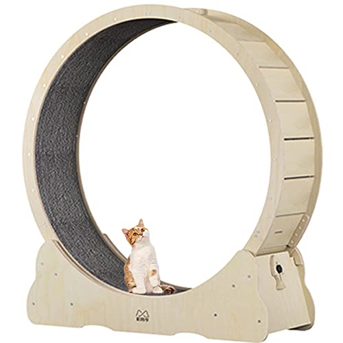 Laufrad für Katzen – Laufen, Spinnen und Kratzen, Laufband mit Teppichboden, Katzensportspielzeug, ideal für körperliche Aktivität und zur Verringerung von Langeweile, XL-Holzfarbe von MLYYYDSS