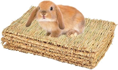 Grasmatte für Kaninchen, Kaninchen, Kauspielzeug, gewebte Bettmatte für Meerschweinchen, Chinchilla, Eichhörnchen, Hamster, Katzen, Hunde und Kleintiere, 4 Stück (4 Stück) von MMBOX