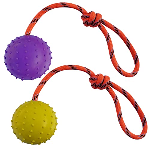 MMSGA 2Pcs Ball am Seil für Hunde und Katzen，trainingsball mit Seil,Hohlkugel aus Naturgummi Für Apportieren,Werfen und Schleppen des Krieges,Nicht geeignet für Starke Kaukraft Hund (L, Lila+Gelb) von MMSGA