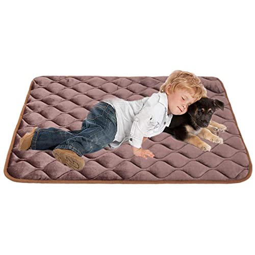 MNEVZX Hundebett Hundebettmatte, weiche Kistenmatte, rutschfeste Haustiermatratze für Hunde, die für große Hunde und Katzen schlafen Haustierbett(Dog Bed-Brown,M 76x48 cm) von MNEVZX