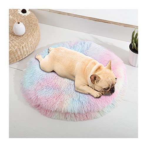 MNEVZX Hundebett Hundekissenbett Haustiersofa für Katzenhundehausbett Runde Katze Winter warmes Bett Haustierbetten Haustierbett(Pad-Rainbow Color,50cm) von MNEVZX