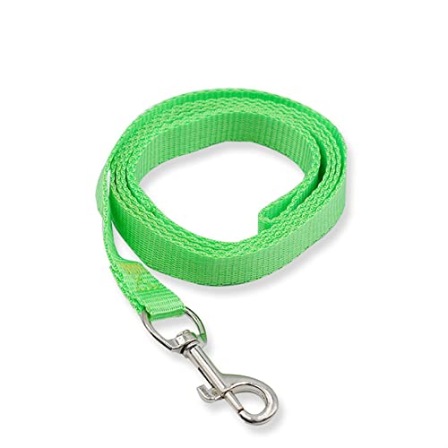 MNEVZX Hundeleine 120 cm * 1,5 cm Nylon Haustier Hundeleine Hundehalsband Walking Training Leine Katzen Hundegeschirr Hundeleine zum Trainieren(Green) von MNEVZX