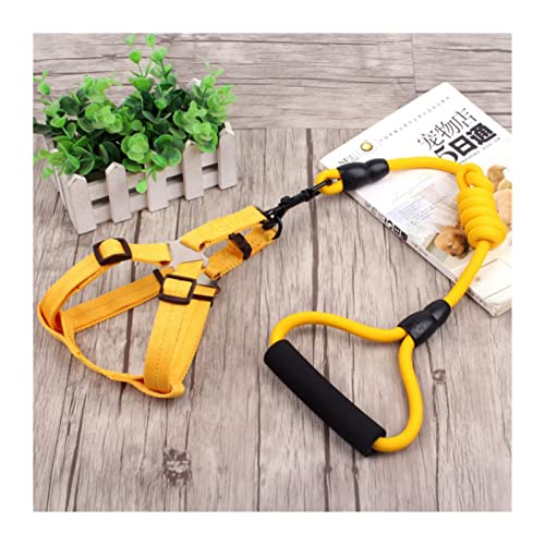 MNEVZX Hundeleine 3-teiliges Set Heimtierbedarf Sicherheitsseil Hundeleine Halsband Set Traktionsseil Brustgeschirr Hundeleine zum Trainieren(Yellow Leash Harness,XS) von MNEVZX