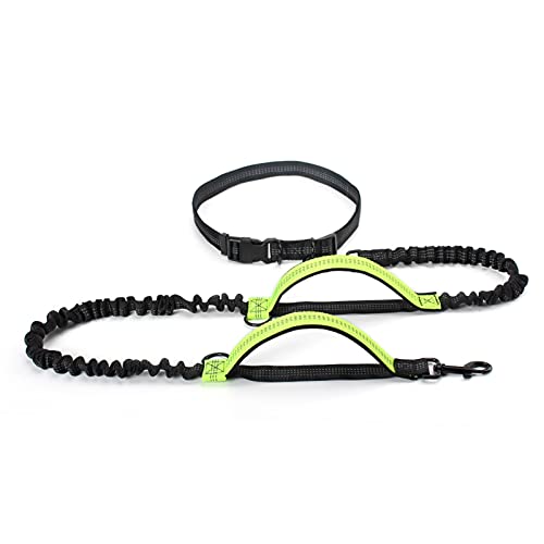 MNEVZX Hundeleine Einziehbare Hundeleine für Laufen. Doppelgriff-Bungee-Leine für große Hunde Hundeleine zum Trainieren(New-Green) von MNEVZX