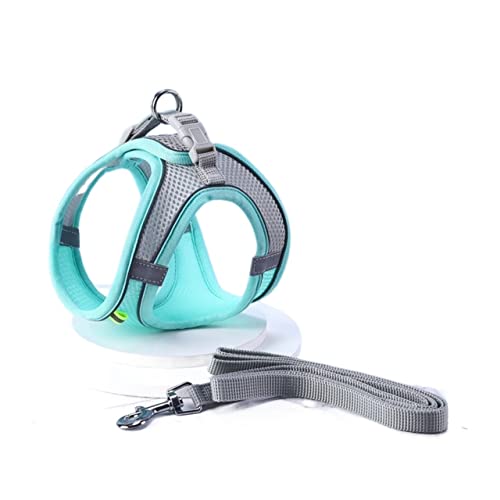 MNEVZX Hundeleine Hundegeschirr-Leine-Set, verstellbar, Welpen-Katzengeschirr, Weste, Outdoor-Laufleine Hundeleine zum Trainieren(Cyan,XS) von MNEVZX