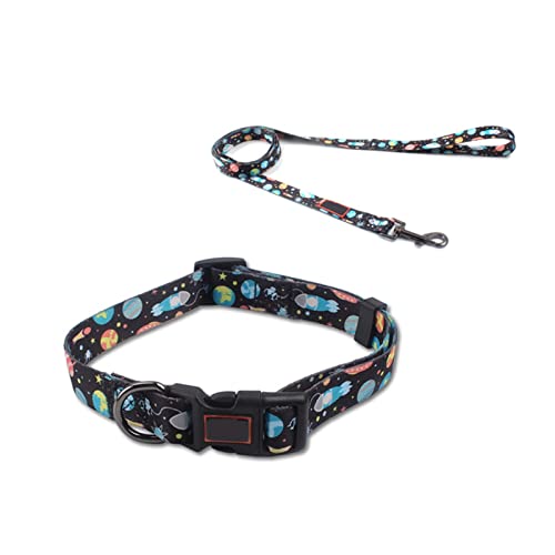 MNEVZX Hundeleine Kleines und mittelgroßes Pitbull Zweiteiliges Hundehalsband und Leine mit Farbverlauf Hundeleine zum Trainieren(2,S 25-40cm) von MNEVZX