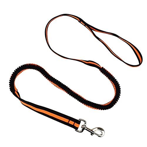 MNEVZX Hundeleine Leine Elastische Haustier Katze Hündchen Leine Anti Dash Pull Hundeleine 190cm Einziehbare Leine Hundeleine zum Trainieren(Orange,Width 1.0cm) von MNEVZX