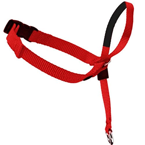 MNEVZX Hundeleine Pet Halfter für Hunde Sanfte Kontrolle Trainingshalsbänder Kopfleinenhalsband Hundeleine zum Trainieren(R,M) von MNEVZX