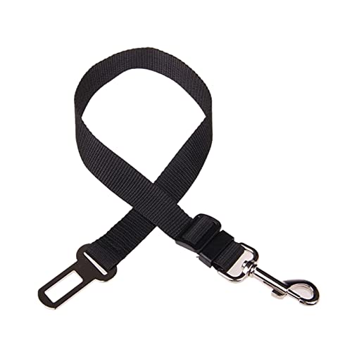 MNEVZX Hundeleine Verstellbares Geschirr, Leine, klein, mittelgroß, Reise-Clip, Hundehalsband, Leine, Hundezubehör Hundeleine zum Trainieren(Black) von MNEVZX