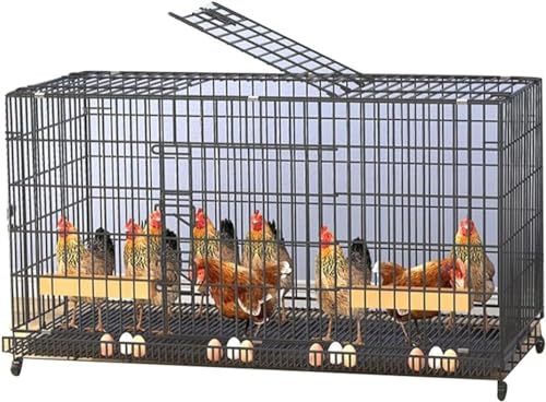 Hühnerstall für den Innenbereich, groß, für Draußen/Hof, Hühnerstall mit Grasnest, Rollen, für 3–15 Hühner (Größe: 120 x 50 x 65 cm) von MNOIINM