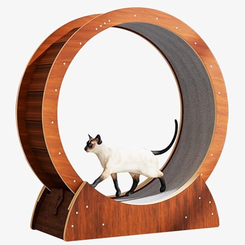 Katzenlaufband mit Holzmaserung, ohne Lücke, 68, 78, 88, 98 cm Durchmesser, leises Abnehmen, Laufrad für Indoor-Katzen, Katzenlaufrad (Größe: L 88 cm) von MNOIINM