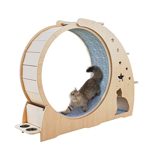 Kratzbrett für Katzen, Laufrad, Katzenbaum, Haus, Laufkatze, Laufen mit drehbarem Spielzeug, Katze, Indoor-Aktivitätszentrum von MNOIINM