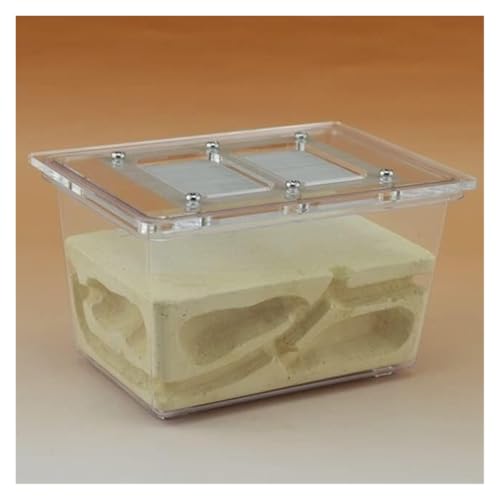 MOBAAK Ameisenfarm Ameisen Farm Ant Castle Research Ecosystem Ant Farm Kleine Tetraedrische Ant Farm 5,1x3,5x3,1 Zoll Ant Nest Farm Ameisenfarm Erwachsener von MOBAAK