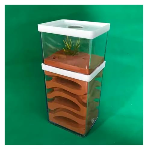 Ameisenfarm Ameisen Farm Ant Castle Transparent Kunststoff Ant Farm Gips Ant Werkstatt Ant Nest Farm Fütterung Box Ant Nest Castle Ameisenfarm Erwachsener von MOBAAK