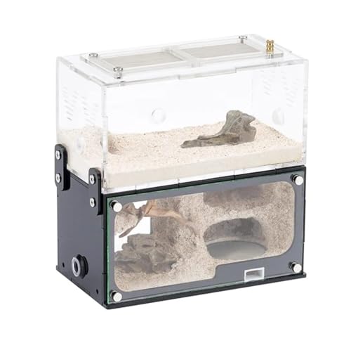 MOBAAK Ameisenfarm Ameisen Farm Erweiterung Ant Nest Ant Farm Befeuchten Formicarium Box Ameisen Haus Acryl Insekten Villa Werkstatt Pädagogisches Ameisenfarm Erwachsener von MOBAAK