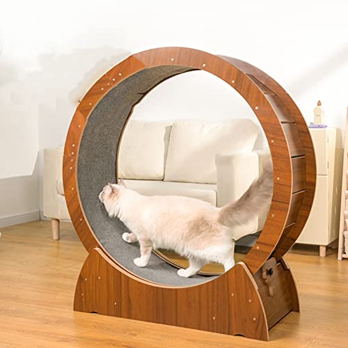 MOBON Katzenlaufrad Hochleistungs-Katzenlaufrad für Große Katzen/Kätzchen, Multifunktionaler Laufspinn- & Kratzspaß, Fitnessspielzeug Aus Holz zum Abnehmen (Size : S) von MOBON