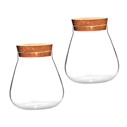 MOBUTOFU 2 Stück Kork Glasflasche Anzuchtvase Terrarium Hydrokultur Pflanzgefäß Luftpflanzen Klare Vase Mikro Landschaftsflasche Selbsttragendes Terrarium Desktop Flasche Glas von MOBUTOFU