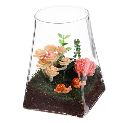 MOBUTOFU Ökologische Mikrolandschaftsflasche Pflanzenbehälter Pflanzen Terrarium Leeres Terrarium Pflanzenterrarium Mikro-landschaftsflasche Vasentopf Glas von MOBUTOFU