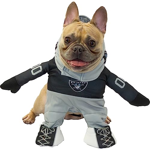 MODERN HERO NFL LAS Vegas Raiders Hundekostüm, offiziell lizenziertes Laufhundeset, bestehend aus 2-teiligem Set, Body und Mütze (schwarz, Größe S, Las Vegas Raiders) von MODERN HERO