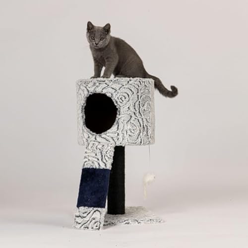 MODERNHOME Cat Scratcher Bunk Tree Hängendes Spielzeug von MODERNHOME