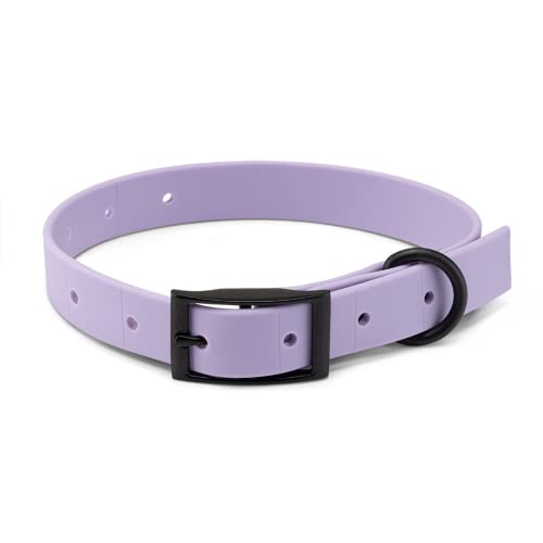 Mojo Pet Supply Hydro Hundehalsband | wasserdicht und geruchsfrei | strapazierfähiges Hundehalsband | verstellbare Größe | leicht zu reinigen | Lavendel von MOJO