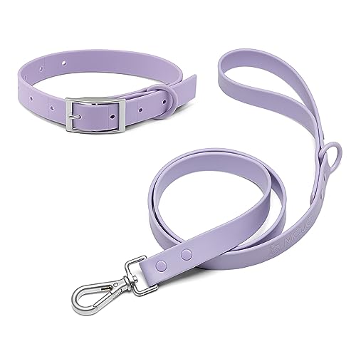 Mojo Pet Supply Hydro wasserdichtes Hundehalsband und Leine, Combo | wasserdicht und geruchsfrei | strapazierfähiges Hundehalsband, verstellbar in der Größe, 122 cm Leine, leicht zu reinigen von MOJO