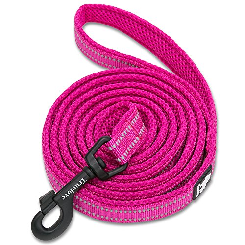 MOKCCI Truelove Hundeleine, reflektierende Leine für kleine, mittelgroße bis große Hunde, Outdoor-Abenteuer und Training, Fuchsia von MOKCCI