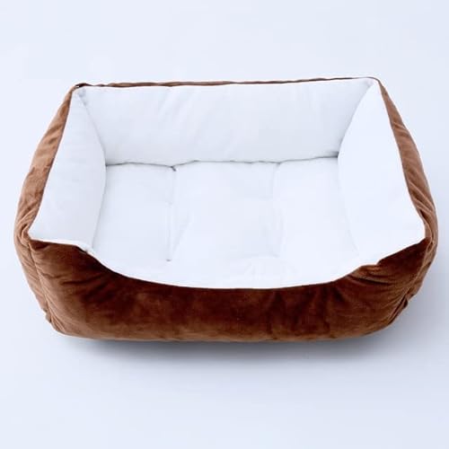 MOLUO Bett für Hund, Katze, Haustier, Schlafsofa, quadratisch, weiches Plüsch, warme Unterlage, Haus, waschbar, Welpen, Katze, Schlafnest, Haustierhütte, Kissen, universell von MOLUO