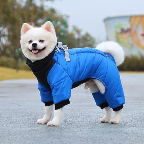 MOLUO Winter-Haustier-Hundekleidung, wasserdicht, warm, Welpenjacke, Dicker Overall für kleine große Hunde, Chihuahua, französische Bulldogge, Kleidung von MOLUO