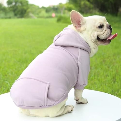 Winter-Hunde-Hoodie-Sweatshirts mit Taschen, Baumwolle, warme Hundekleidung für kleine Hunde, Chihuahua, Mantel, Kleidung, Welpen, Haustiere, Katze von MOLUO