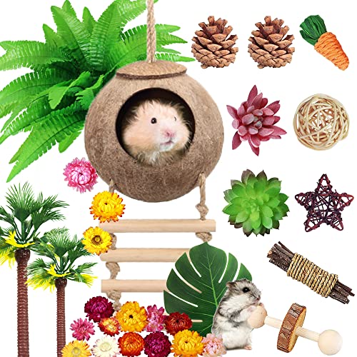 Hamster Kauspielzeug Set Natürliches Holz Hamster Spielzeug Kokos Hamster Haus Künstliche Pflanze Getrocknete Blumen Zähne Kleintier Spielzeug Käfig Landschaftsbau für Chinchillas Meerschweinchen Haustier Mäuse (Stil 01) von MOMOONNON