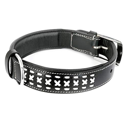 MONKIMAU Halsband für Hunde aus echt Leder mit Zierflechtung gepolstert verstellbar L 37-45 cm von MONKIMAU