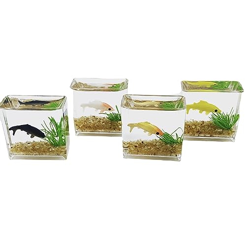 MONOJLY Exquisites Miniatur-Glas-Aquarium-Szenenmodell, Heimdekorationen für Puppenhaus oder Modell-Szenensimulation von MONOJLY