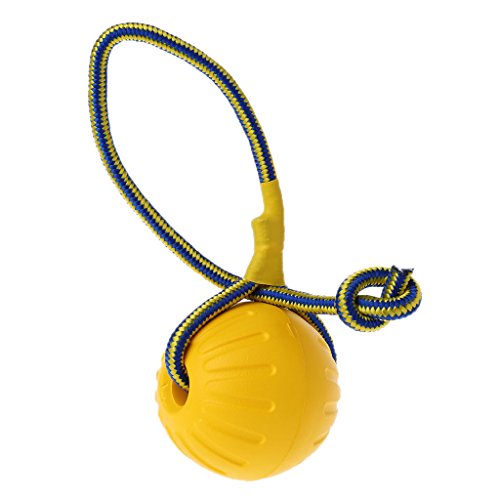 MONOJLY Lustiges Hundespielzeug Ball Welpentrainingsball Spielzeug mit Seil Haustier Hund Apportierball Haustier Interaktives Spielzeug für Hund Outdoor Indoor von MONOJLY