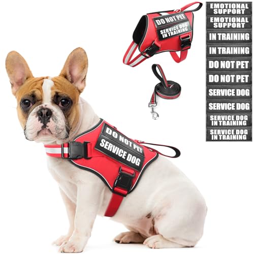 MOOGROU Service Dog Vest Harness and Leash Set + 10 Patches, No Pull & Easy Walk Reflective Dog Harness with Soft Padded Handle for Training/Everyday, Fit Small/Medium/Large/Extra Large Dogs (Red S) von MOOGROU