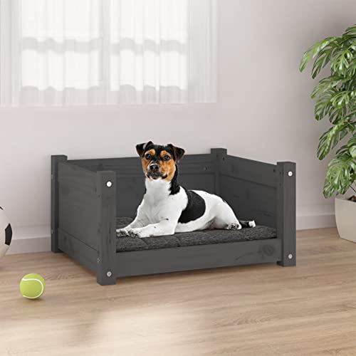 MOONAIRY Hundebett, Hundesofa, Hunde Bett, Hundekissen, Dog Bed, Kuschelbett Katzen, Hunde Sofabett, Hunde Couch, Grau 55,5x45,5x28 cm Massivholz Kiefer von MOONAIRY