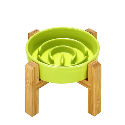 MOPANG Erhöhte Keramik-Slow-Feeder-Hundenäpfe für Kleine Rassen, Antischlingnapf für Katze und Kleine Hunde, Langsame Fütterung für Hunde Klein, Ø 16cm, 400ml, Lindgrün von MOPANG