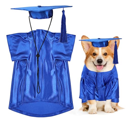Hunde-Abschlusskappe und --Shirt, für Hunde und Katzen, Urlaub, Halloween-Kostüm-Zubehör (Blau, Größe XS) von MORFORU