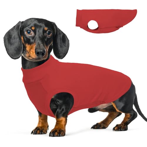 Hunde-Fleeceweste, Rot, Größe 2XL, Hunde-Fleecepullover, leicht und warm, dehnbar, Hunde-Sweatshirts für große Hunde, Winterjacke, Hundepullover, Weste, Hundepullover für Dackel von MORVIGIVE