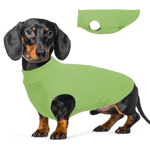 Fleece-Weste für große Hunde – Grün, 2XL – Pullover Hundepullover, Weste, warme & dehnbare Winterjacke für Dackel von MORVIGIVE