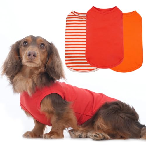 Hunde-Shirts, ärmellos, für Frühling, Sommer, Herbst, für kleine Hunde, gestreift, einfarbig, leicht, Orange, Größe M, 3er-Pack von MORVIGIVE