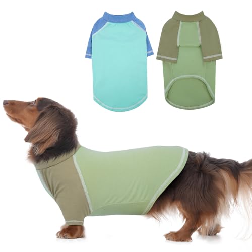 Hunde-Shirts, schnelltrocknende Raglanärmel, mittelgroß, weich, blau-grüne T-Shirts für kleine Hunde, Haustier-T-Shirts mit langen Ärmeln für alle Jahreszeiten, Blau, Größe M, 2er-Pack von MORVIGIVE