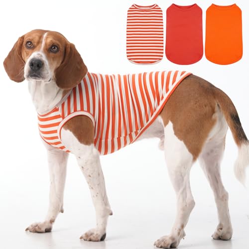 Hunde-T-Shirts für mittelgroße Hunde und Damen, ärmellos, Größe XL, Orange, Größe XL, 3er-Pack, Orange von MORVIGIVE