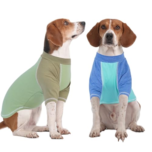 Hunde-T-Shirts mit Raglanärmeln, Größe XL, gemütliche Hunde-T-Shirts, helle Farben, T-Shirts für mittelgroße Hunde und Jungen, Hemden mit langen Ärmeln, geeignet für alle Jahreszeiten, Blau, Größe XL, von MORVIGIVE