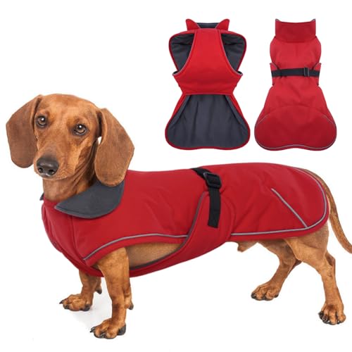 MORVIGIVE Dackelmantel, reflektierende Dackel-Jacke, rot, klein, wasserdichte Dackelkleidung für den Winter, Hunde-Wintermantel, warmes Fleecefutter, Dackelmantel, Geschirr, verstellbarer von MORVIGIVE