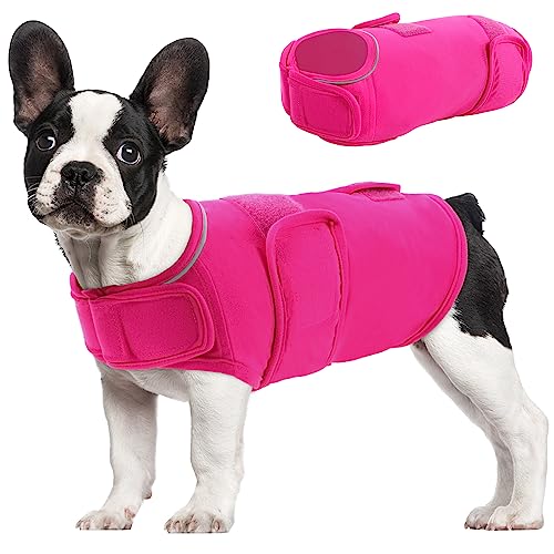 MORVIGIVE Hunde-Angstlinderungsmantel, Größe XS, verstellbare Hemden für Hunde, Angstzustände, atmungsaktive Hundejacke für Gewitter, Reisen, Feuerwerk, Anti-Angst-Hemd für Chihuahua, Yorkshire von MORVIGIVE