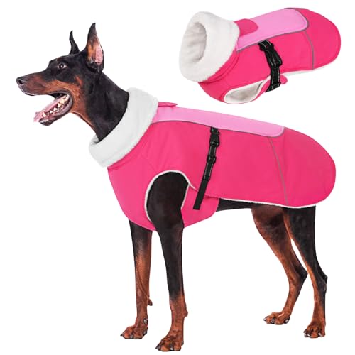 MORVIGIVE Wasserdichter Hunde-Wintermantel Hundejacke für kaltes Wetter von MORVIGIVE