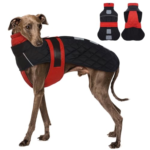 MORVIGIVE Whippet Hundemantel – Rot, für kleine Hunde, Wintermantel mit verstellbaren Bändern, Hunde-Schneemantel für Windhunde, wasserabweisende Hundejacke mit Loch für Geschirr von MORVIGIVE