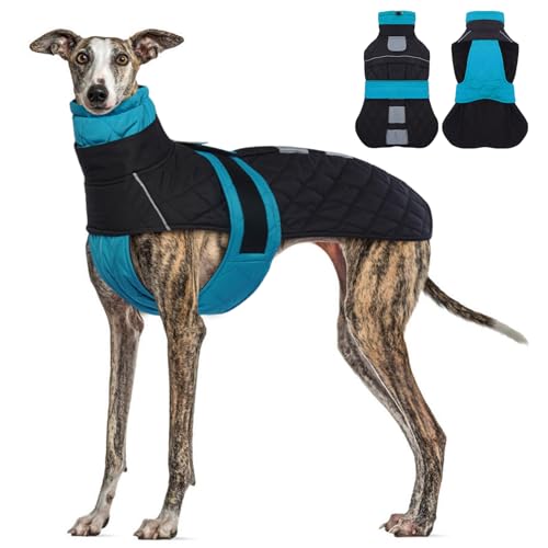 MORVIGIVE Whippet Lurcher Hunde-Wintermantel, Seeblau, Größe M, Windhunde, wasserdichter Hundemantel mit integriertem Geschirr, Fleecefutter für Wärme, reflektierender Rand für Sicherheit, von MORVIGIVE