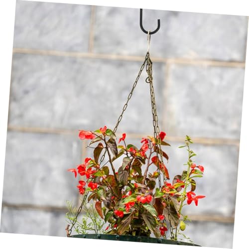 MOTHNUR 6Stücke Eisen Wandhaken für Garten und Balkon Dekorative Aufhängehaken für Pflanzen Laternen Windspiele und Vogelhäuschen Robust und Platzsparend MOTHNUR 6Stücke Eisen Wandhaken für Garten und Balkon Dekorative Aufhängehaken für Pflanzen Laternen Windspiele und Vogelhäuschen Robust und Platzsparend von MOTHNUR